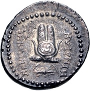 Drachm - Menedemos, Greece (ancient), 175 BC - 125 BC reverse image