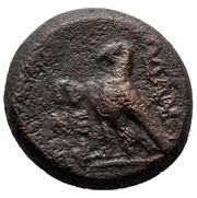 Æ14 reverse image