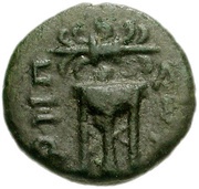 Æ13, Greece (ancient), 300 BC - 67 BC reverse image