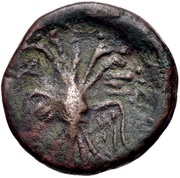 Æ17, Greece (ancient), 300 BC - 67 BC reverse image