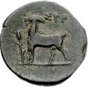 Æ16, Greece (ancient), 300 BC - 1 BC reverse image