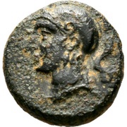 Æ13 - Evagoras II obverse image