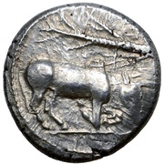 Siglos obverse image