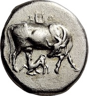 Stater obverse image