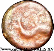 Æ12 - Dolphin reverse image