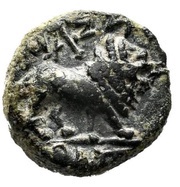Æ11 reverse image