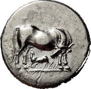 Stater obverse image