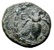 Æ17 - Athenophilus obverse image