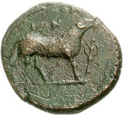 Æ18, Greece (ancient), 381 BC - 301 BC reverse image