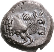 Didrachm obverse image