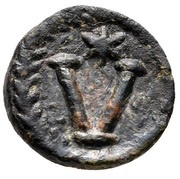 5 Nummi - Justinian I Uncertain Mint; V ✶, Byzantine states, 527-565 reverse image