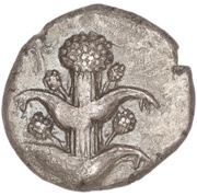 Tetradrachm obverse image