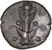 Tetradrachm obverse image
