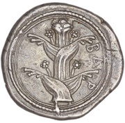 Tetradrachm obverse image