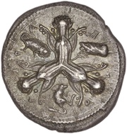 Tetradrachm obverse image