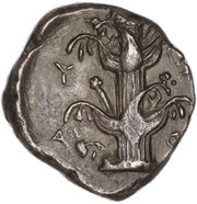 Tetradrachm obverse image