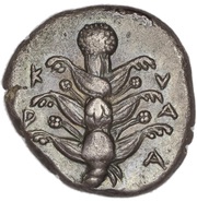 Tetradrachm obverse image