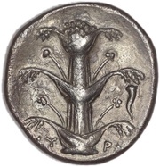 Tetradrachm obverse image