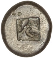 Hemistater reverse image