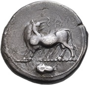 Stater obverse image