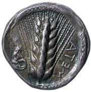 Nomos obverse image