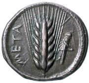 Nomos obverse image