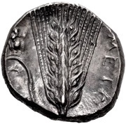 Nomos, Greece (ancient), 340 BC - 330 BC reverse image