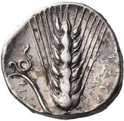 Nomos, Greece (ancient), 340 BC - 330 BC reverse image