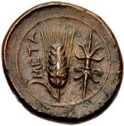 Æ, Greece (ancient), 300 BC - 250 BC reverse image