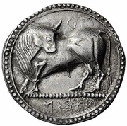 Stater obverse image