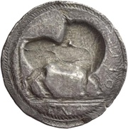 Nomos, Greece (ancient), 520 BC reverse image