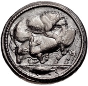 Tetradrachm obverse image