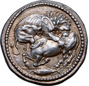 Tetradrachm obverse image