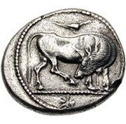 Tetradrachm obverse image