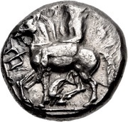 Tetradrachm obverse image