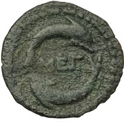 Dichalkon Megaris reverse image