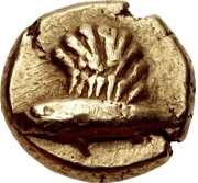 Hemihekte obverse image