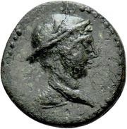 Æ14 obverse image