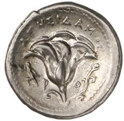 Didrachm - Agesidamos, Greece (ancient), 250 BC - 229 BC reverse image