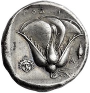 Tetradrachm, Greece (ancient), 360 BC - 340 BC reverse image