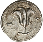 Tetradrachm - Ameinias, Greece (ancient), 230 BC - 205 BC reverse image