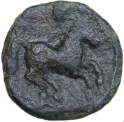 Æ14 reverse image