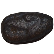 Onkia obverse image
