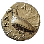 Didrachm obverse image