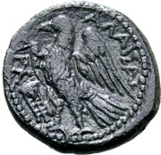 Æ19 reverse image
