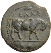 Tetras obverse image