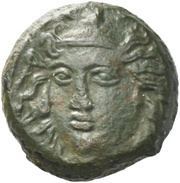 Hemilitra obverse image