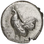 Didrachm obverse image