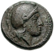 Tetras obverse image
