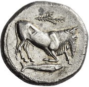 Tetradrachm obverse image